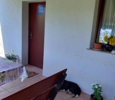 Zagreb Apartment | Apartment NATUR