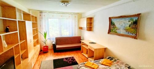 Tirgu Mures Apartment | Apartment Niceview