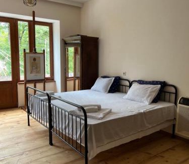 Borjomi Apartment | Apartment Nikala
