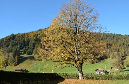 Zweisimmen Nr Gstaad Apartment | Apartment Oberland Nr- 3 by Interhome