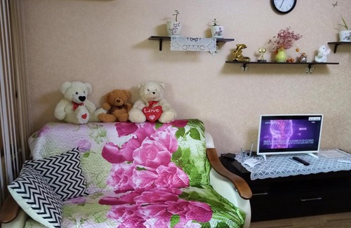 Voronezh Apartment | Apartment on Mordasovoy 3a