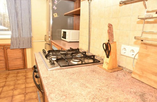 Central Administrative Okrug Apartment | Apartment on Pushkinskaya - Moscow