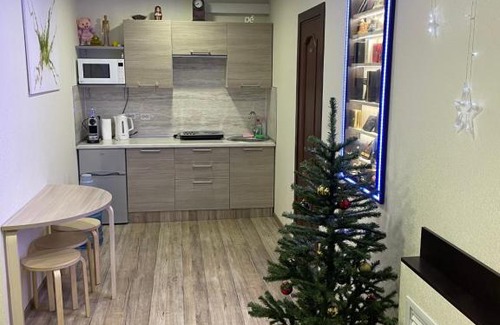 Valday Apartment | Apartment on Radishcheva