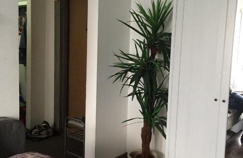 Dachnoe Apartment | Apartment on Veteranov 11