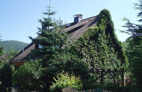 Zorge Apartment | Apartment Petrauschke
