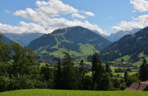 Saanen Apartment | Apartment Rehweid - EG by Interhome