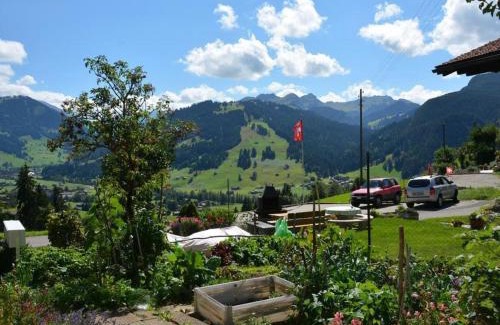 Saanen Apartment | Apartment Rehweid - EG by Interhome