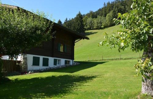 Saanen Apartment | Apartment Rehweid - EG by Interhome