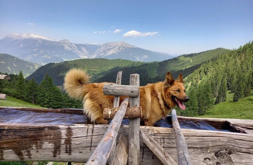 Grosssoelk Apartment | Apartment Schönwetter - Appartement Schönwetter