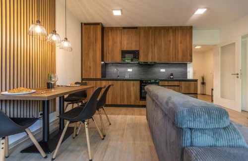 Dolni Morava Apartment | Apartment SKY