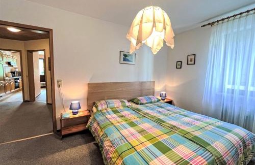 Todtnau Apartment | Apartment Sonnenblick III by Interhome