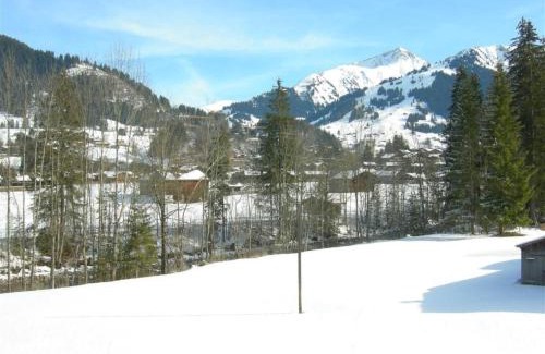 Zweisimmen Nr Gstaad Apartment | Apartment Steimandli by Interhome