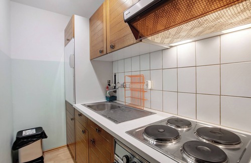 Herrenschwand Apartment | Apartment 'Steinebrunner' with Mountain View and Balcony