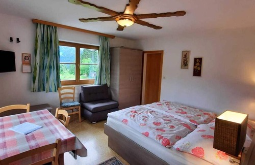 Abtenau Apartment | Apartment Studio 1 - Biohof Haus Wieser