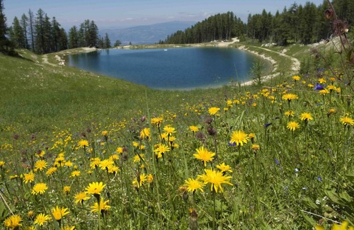 Klopein am Klopeiner See Apartment | Apartment 'Superior Mit Alpenblick' with Mountain View, Wi-Fi and Air Conditioning