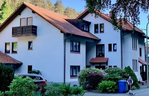 Elmstein Apartment | Apartment-Superior-Private Bathroom-Terrace-Ferienwohnung 1 im EG