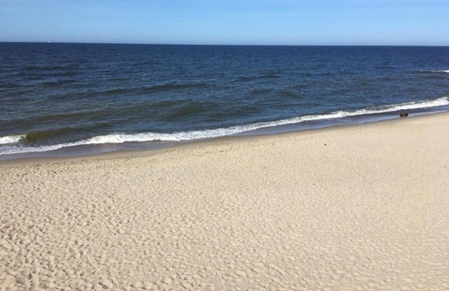 Svetlogorsky District Apartment | Apartment Svet