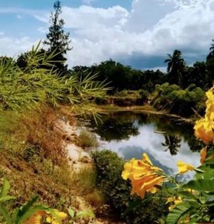 Khlong Wan Apartment | Apartment