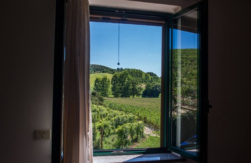 Cisterna d'Asti Apartment | Apartment the vineyard