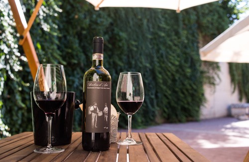 Cisterna d'Asti Apartment | Apartment the vineyard