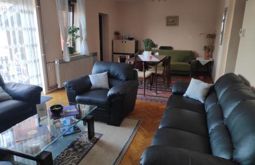 Osijek Apartment | Apartment Viktorija