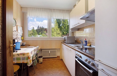 Badenweiler Apartment | Apartment 'Vogesen Mit Lift' with Mountain View, Balcony and Wi-Fi