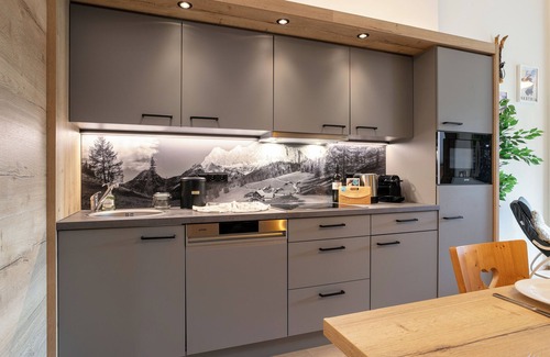 Haus im Ennstal Apartment | Apartment with a spa and a balcony