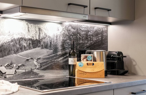 Haus im Ennstal Apartment | Apartment with a spa and a balcony