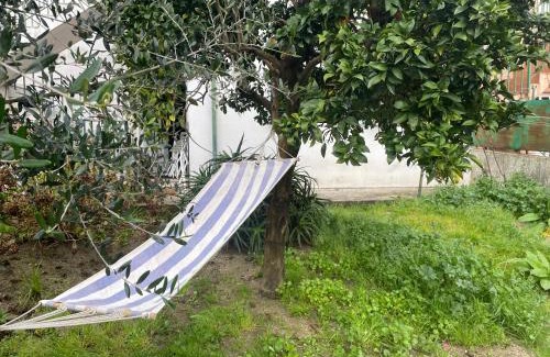 Sao Goncalo Apartment | Apartment with balconies and garden