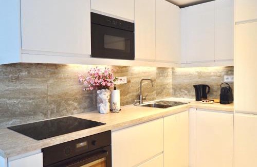 Holesovice Apartment | Apartment with Free Parking in Prague