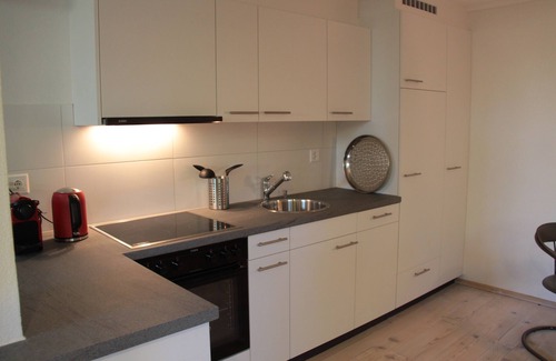 Bellerive Apartment | Apartment with large terrace, lake & mountain view