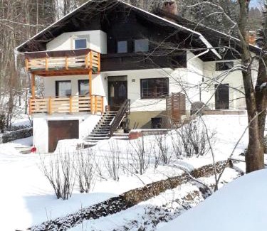 Lunz am See Apartment | Apartmenthaus AMELIE
