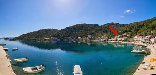 Prozurska Luka Apartment | Apartments by the sea Prozurska Luka, Mljet - 22335