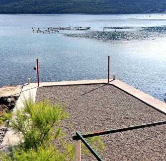 Putnikovic Apartment | Apartments by the sea Zuronja, Peljesac - 12020