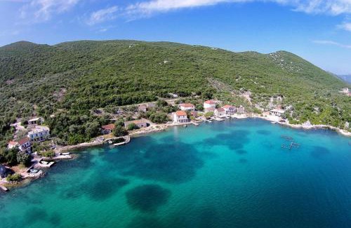 Putnikovic Apartment | Apartments by the sea Zuronja, Peljesac - 12020