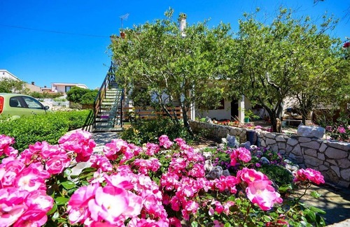 Povljana Apartment | Apartments Tome (13701-A1) - Povljana - island Pag