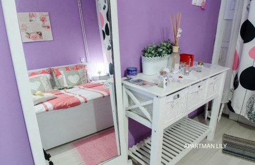 Krapina Apartment | Apartments Kamenecki