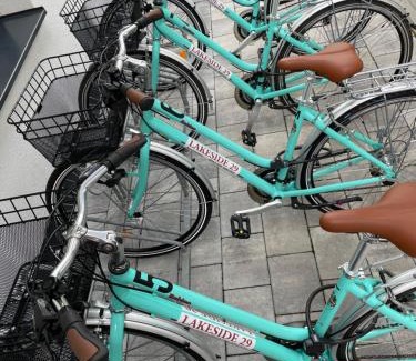 Maishofen Apartment | Apartments Lakeside 29 Zell am See