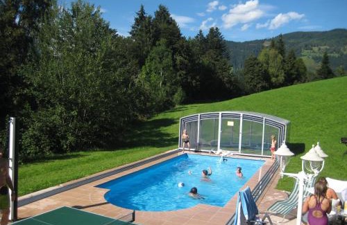 Bischofshofen Apartment | Apartments Spiegl Holzmann