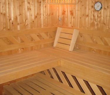 Bischofshofen Apartment | Apartments Spiegl Holzmann