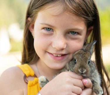 Altenmarkt im Pongau Apartment | Apartments Viola Altenmarkt