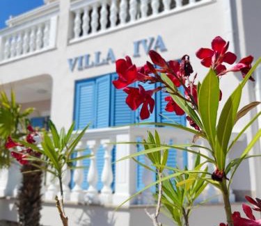 Ravni Apartment | Apartments Villa Iva