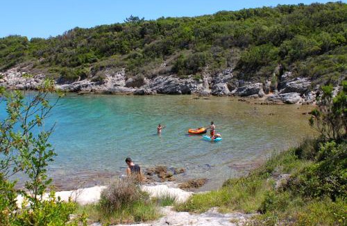 Mali Losinj Apartment | Apartments with parking space Sveti Jakov, Losinj - 24153