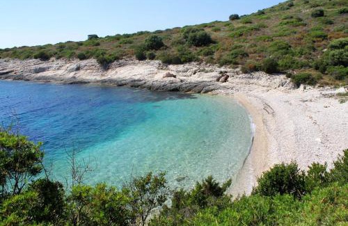 Savar Apartment | Apartments with parking space Savar, Dugi otok - 12762