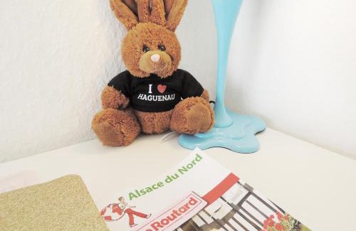 Haguenau Apartment | Appart'AZUR Haguenau - Centre Grand'Rue - Logements entiers pour voyageur pro