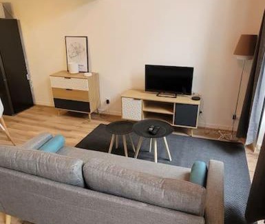 Cret de Roc Apartment | Appart’ entièrement rénové au centre ville St Étienne