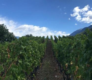 Aymavilles Apartment | Appartamenti Grivola