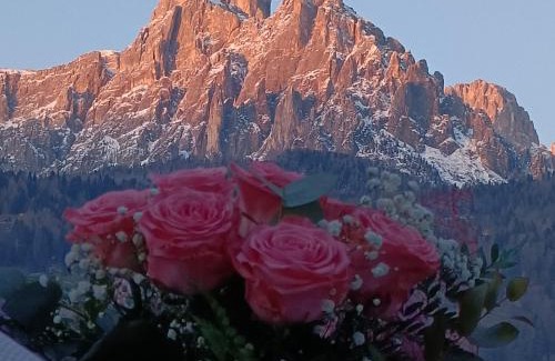 Transacqua Apartment | Appartamenti Primiero