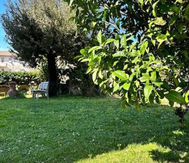 Ribolla Apartment | Appartamento Albatros