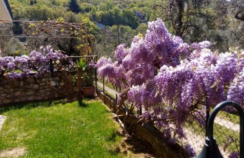 Malcesine Apartment | APPARTAMENTO AURORA Val di Sogno